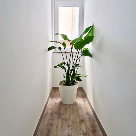 Ljubljana Central Cozy Apartment W Free Parking Exteriör bild